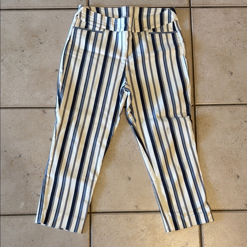 Chico's Navy and White Striped Chinos